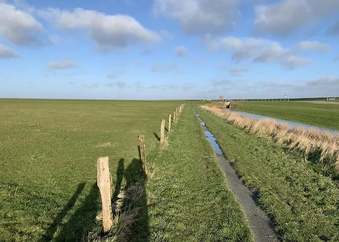 Waikiki Hilgenriedersiel